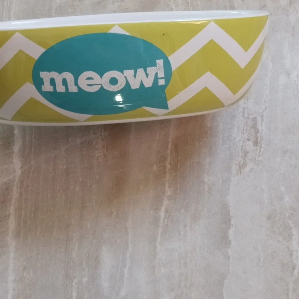Cat's water bowl